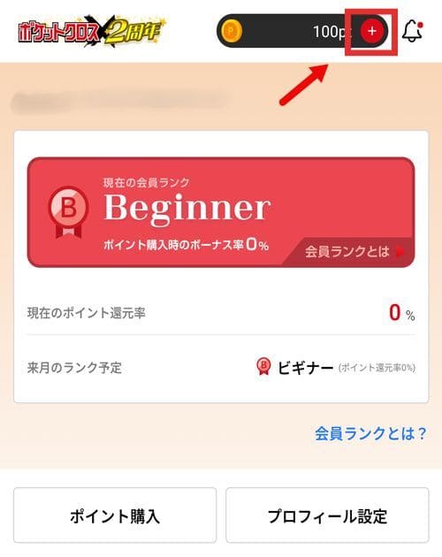 ④必要に応じてポイントを購入する
